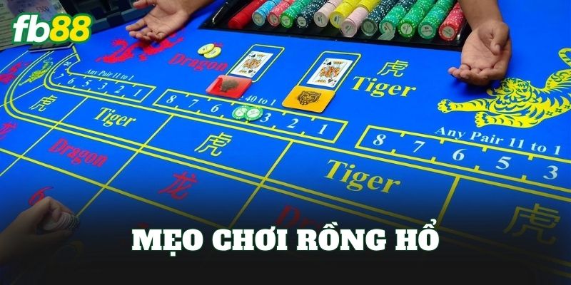 Mẹo Chơi Rồng Hổ